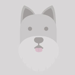 Nitesh G. - Dog & Cat Groomer in 