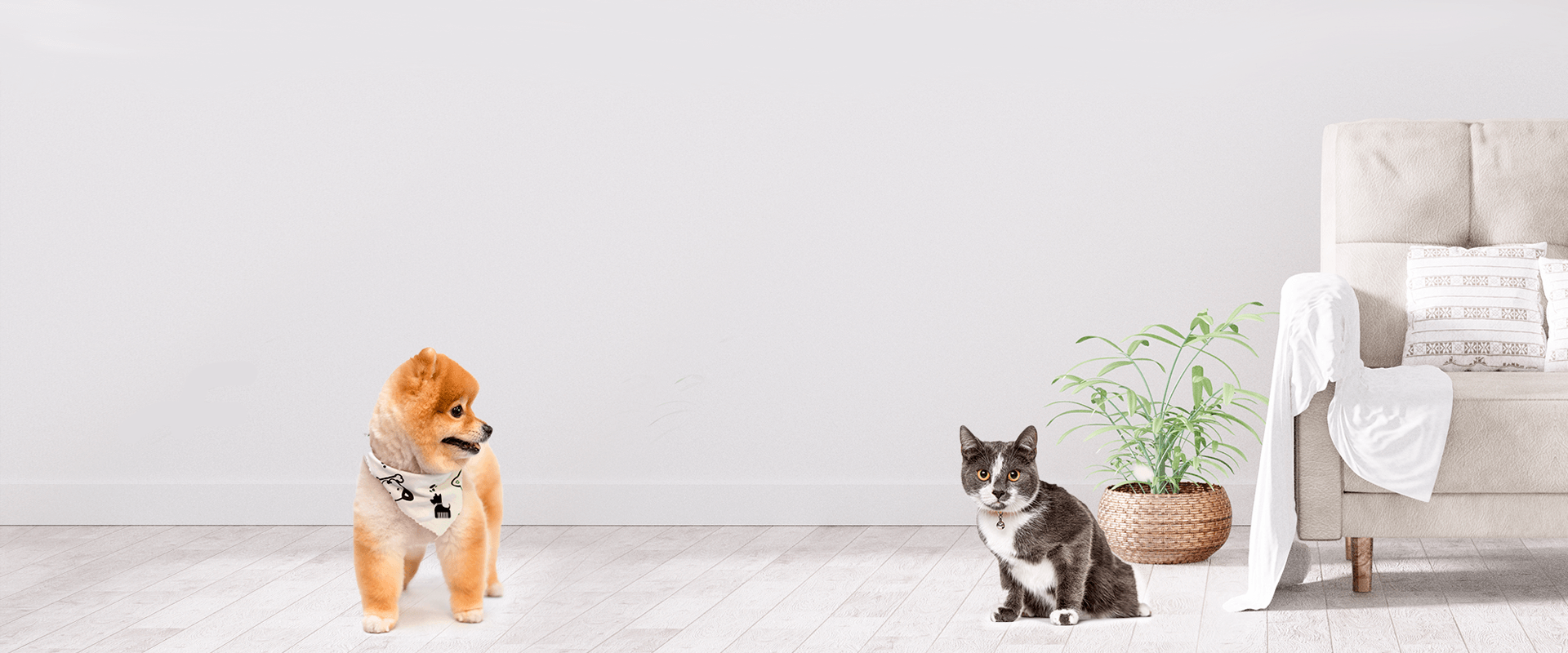 JUser M. - Dog & Cat Groomer in 