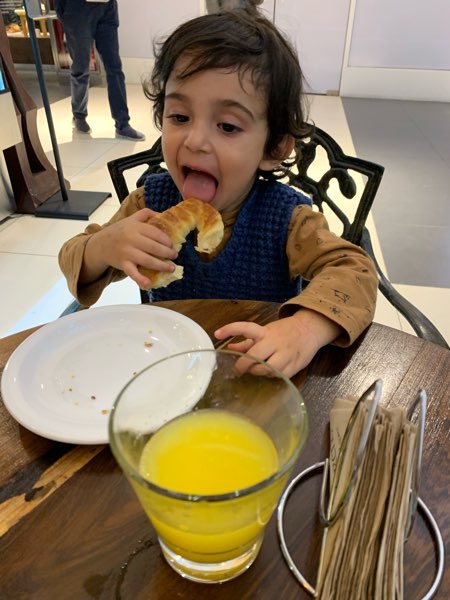 Sofia G. - Dog & Cat Groomer in 