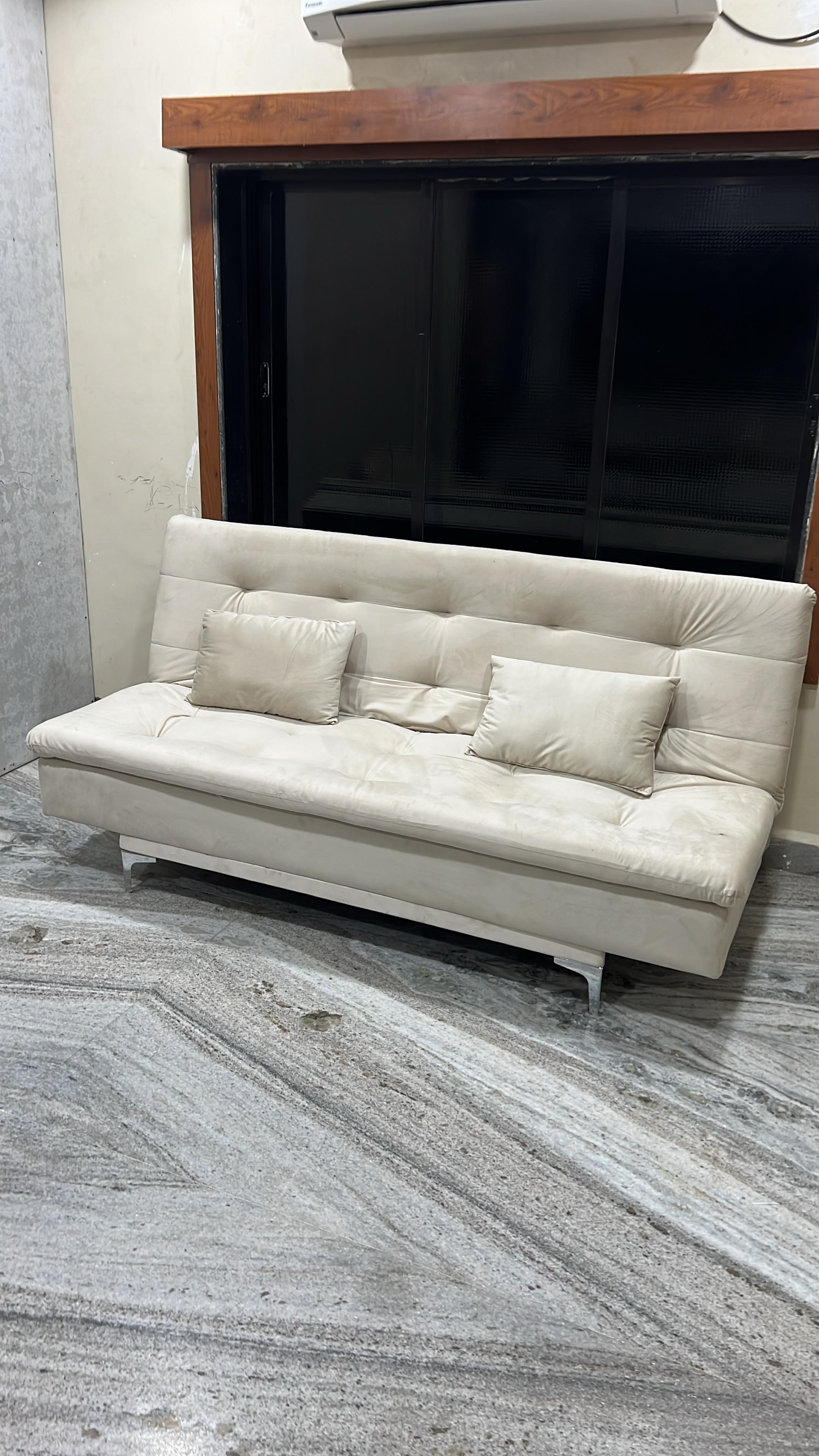 Dev D. - Dog & Cat Groomer in New York