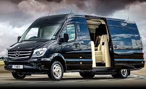 Diego G. - Dog & Cat Groomer in 