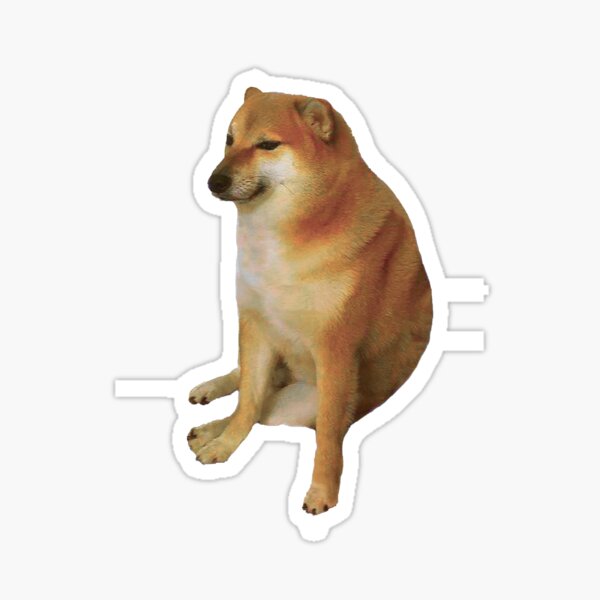 Diego G. - Dog & Cat Groomer in Westchester